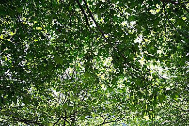 《Apex英雄》即将推出跨平台进度同步功能